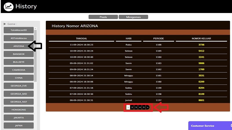 History nomor arizona pool